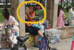 公园里的不雅视频,文明素养亟待提升